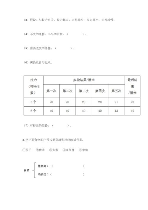 教科版四年级上册科学期末测试卷【精华版】.docx