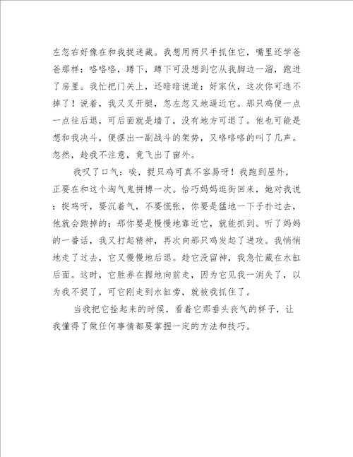 我的寒假作文700字
