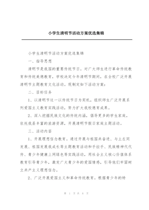 小学生清明节活动方案优选集锦.docx