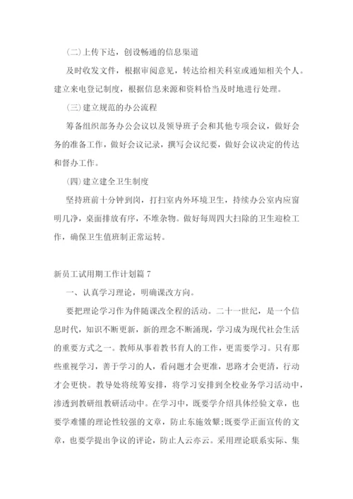 新员工试用期工作计划.docx