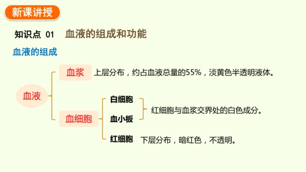 4.4.1流动的组织——血液-七年级生物下学期同步精品课件（2024人教版）(共38张PPT)