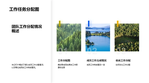 团队效能全面分析