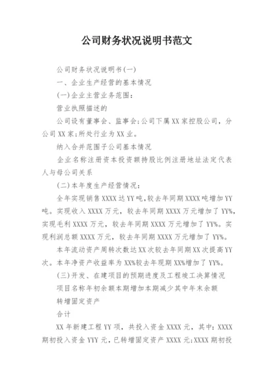 公司财务状况说明书范文.docx