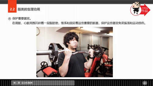 运动营养学通用PPT模板