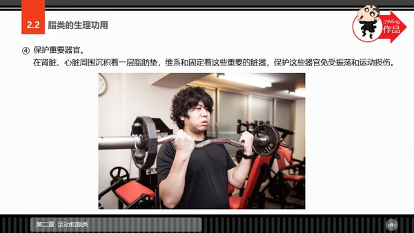运动营养学通用PPT模板