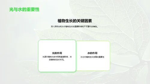 探秘植物的生命之旅