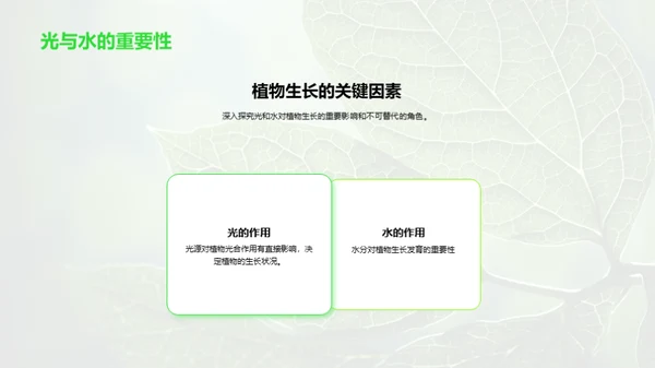 探秘植物的生命之旅