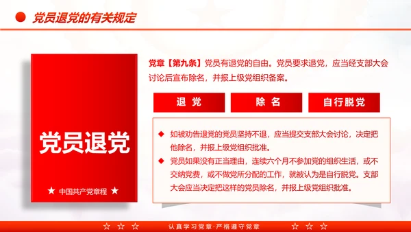 中国共产党章程党章党规学习解读PPT模板