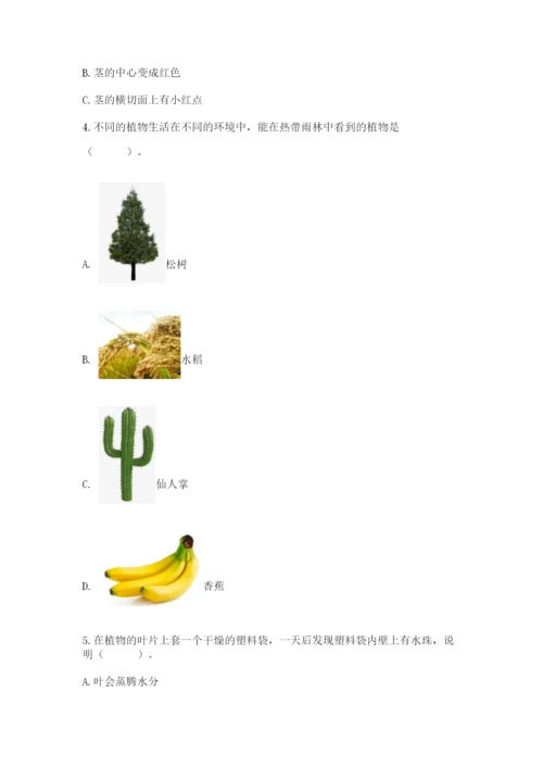 科学四年级下册第一单元《植物的生长变化》测试卷word.docx