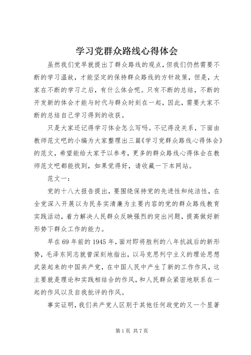 学习党群众路线心得体会 (2).docx