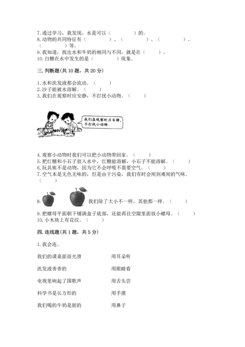 教科版一年级下册科学期末测试卷带答案（最新）.docx