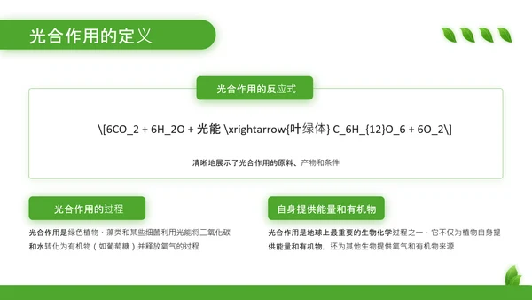 绿色清新风植物的光合作用PPT模板