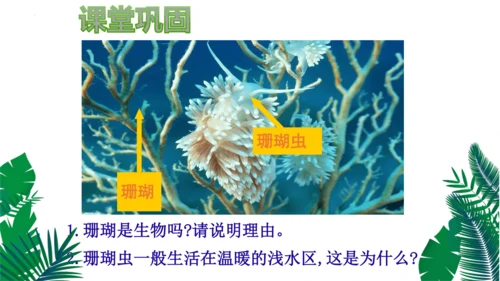 1.1.1生物的特征课件人教版生物七年级上册课件(共29张PPT)