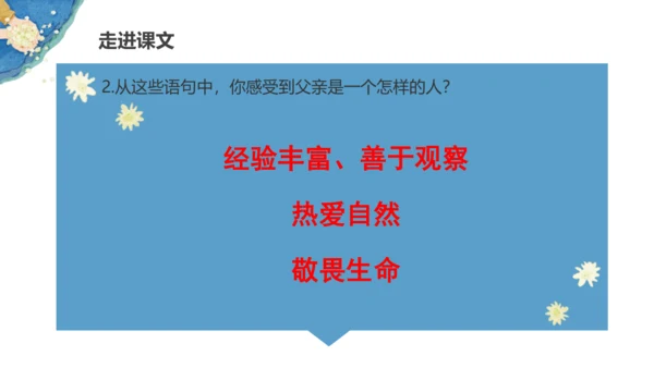 第23《父亲、树林和鸟》（课件）