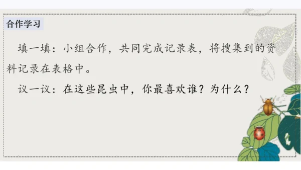 4昆虫备忘录   课件
