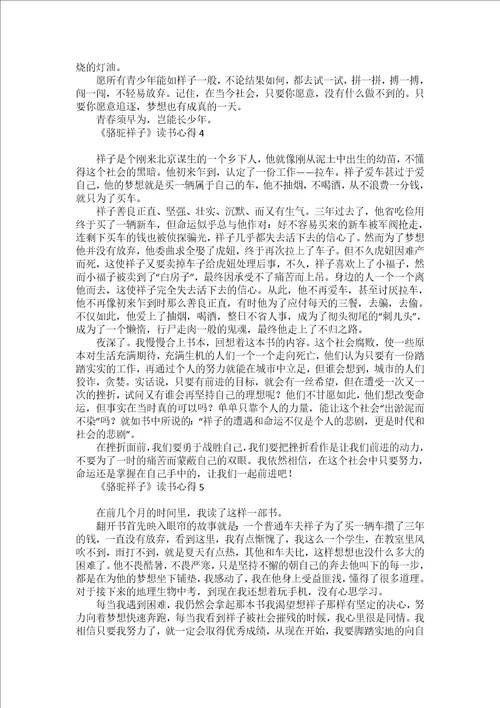 热门骆驼祥子读书心得