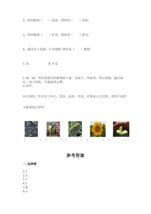 教科版科学一年级上册第一单元《植物》测试卷（综合题）.docx