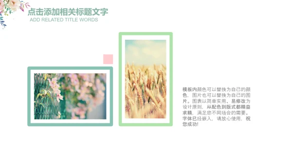 清新花朵妇联妇女之家工作总结汇报PPT