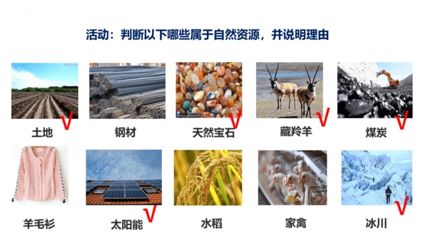 3.1 自然资源的基本特征（课件38张）-人教版八年级地理上册