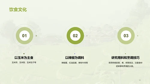 绿色现代苗族文化概览培训课件PPT模板