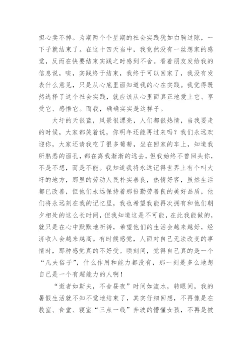 农村发展硕士实践报告.docx