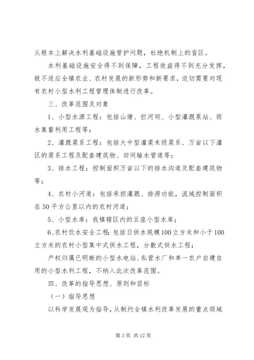 乡镇水利基础设施管护体制改革实施方案.docx