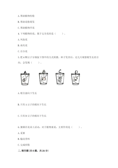 科学四年级下册第一单元植物的生长变化测试卷附答案【考试直接用】.docx