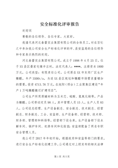 安全标准化评审报告 (2).docx