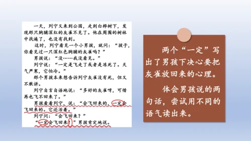 【同步课件】部编版语文三年级上册  25.灰雀（2课时）