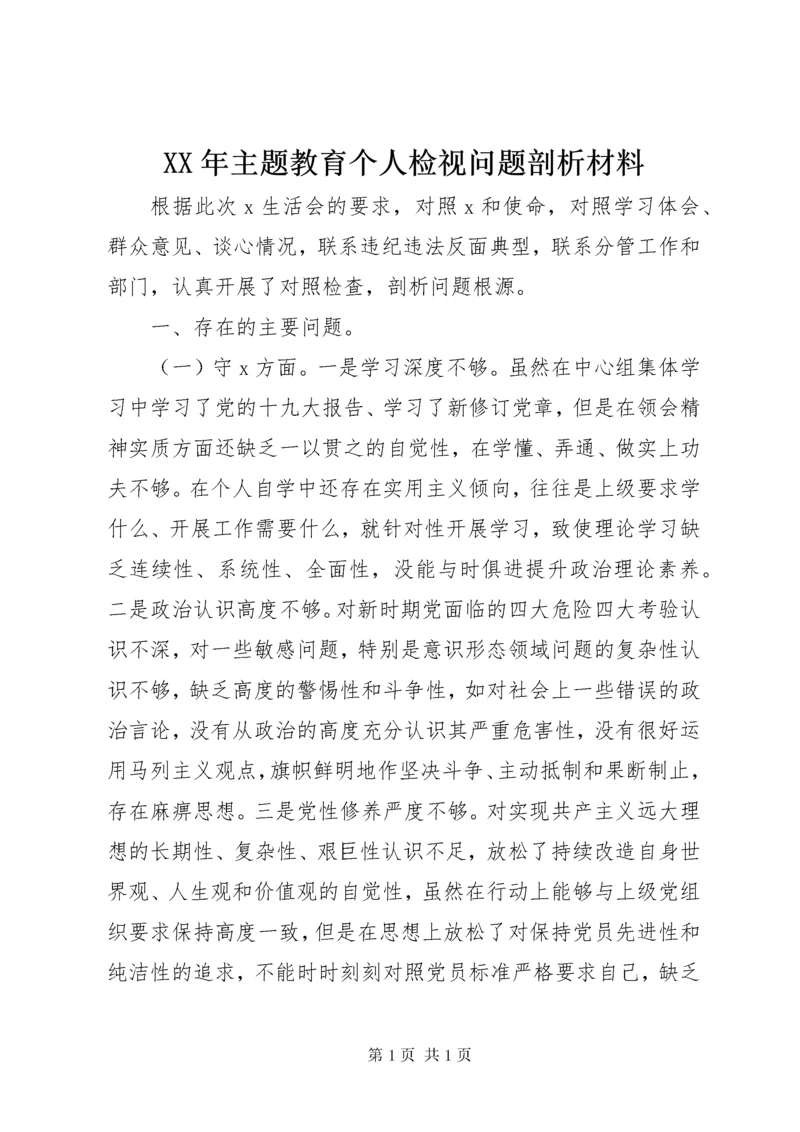 XX年主题教育个人检视问题剖析材料.docx