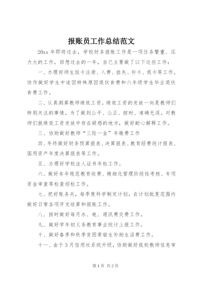 报账员工作总结范文.docx