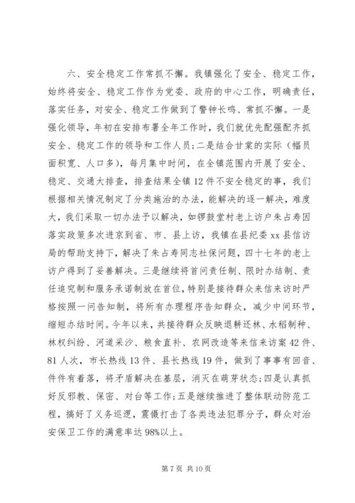 乡镇政府工作总结1.docx