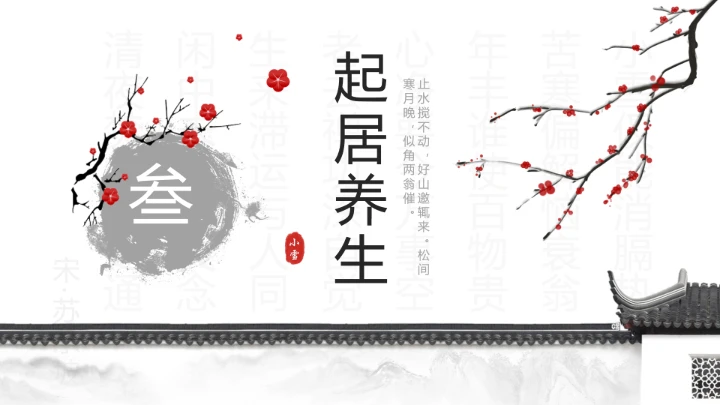 淡雅中国风二十四节气之小雪养生PPT模板