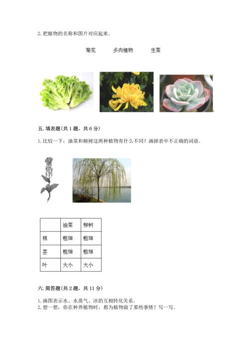 教科版科学一年级上册第一单元《植物》测试卷及答案【网校专用】.docx