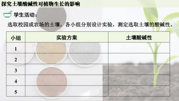 跨学科实践活动9  探究土壤酸碱性对植物生长的影响课件(共33张PPT)