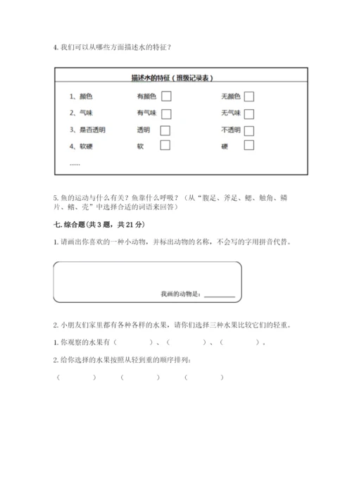 教科版一年级下册科学期末测试卷附参考答案ab卷.docx