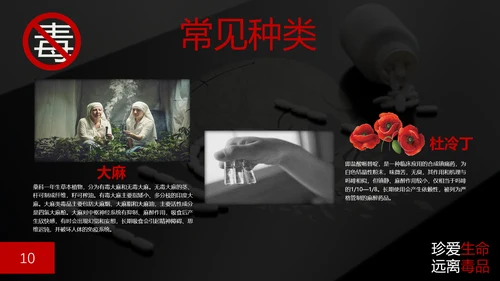 珍爱生命禁毒无毒PPT