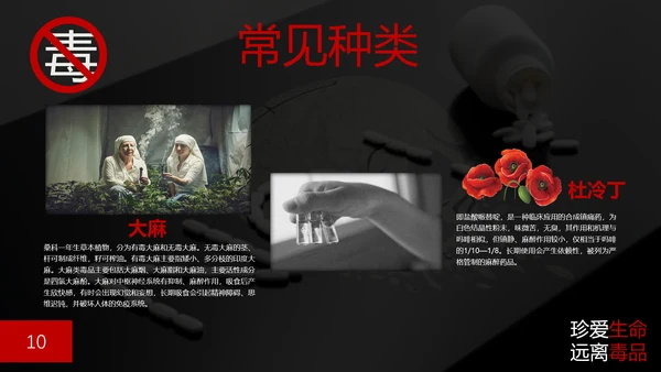 珍爱生命禁毒无毒PPT