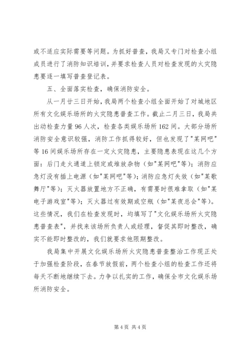文化娱乐经营场所火灾隐患普查整治工作情况汇报.docx