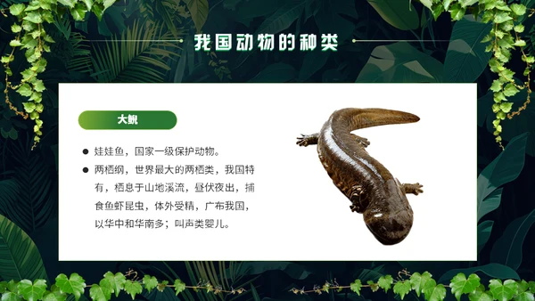 世界野生动植物日保护野生动物通用PPT模板