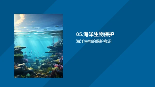 海洋生物与地理环境