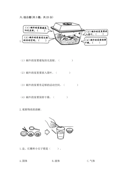 教科版一年级下册科学期末测试卷（能力提升）.docx