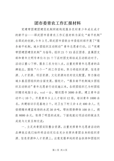 团市委青农工作汇报材料 (6).docx