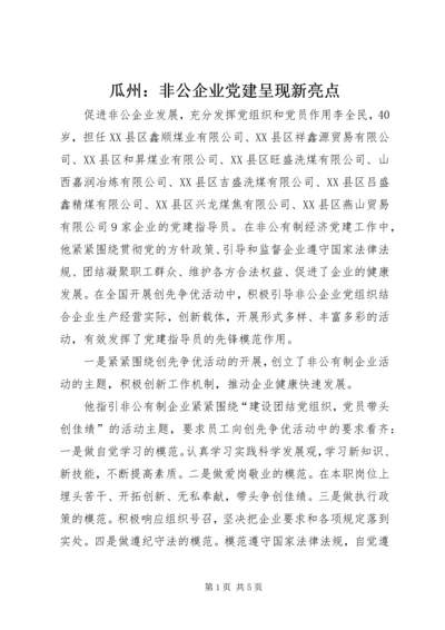 瓜州：非公企业党建呈现新亮点.docx