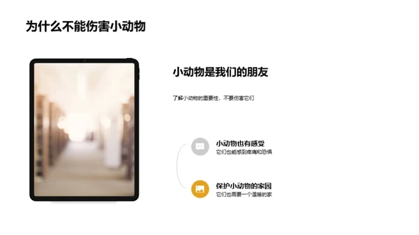 我们的小小动物园