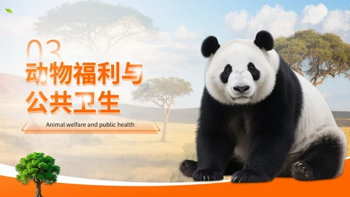橙色世界动物日志愿者科普PPT模板