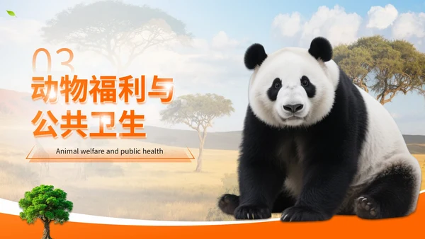 橙色世界动物日志愿者科普PPT模板