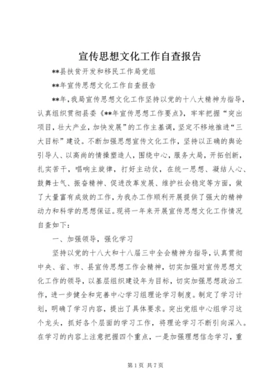 宣传思想文化工作自查报告.docx