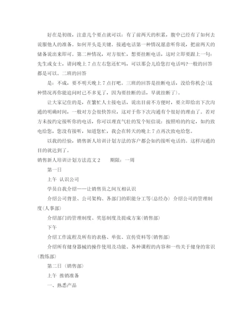 精编之销售新人培训计划方法范文.docx