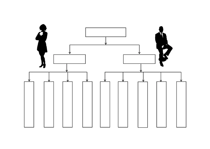 公司管理流程图